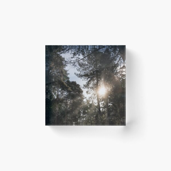 Item preview, Sunrise Forest Landscape designed and sold by RossWilson12.