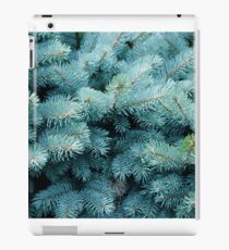 Prickly Blue Bush iPad Case/Skin