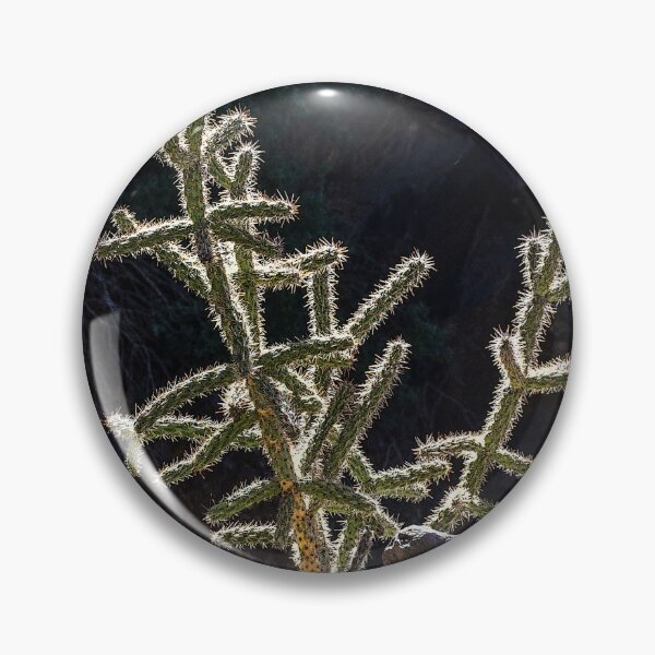 Item preview, Cholla Cactus, Dripping Springs, NM designed and sold by William E Lopez.