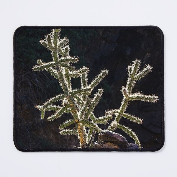 Item preview, Cholla Cactus, Dripping Springs, NM designed and sold by William E Lopez.