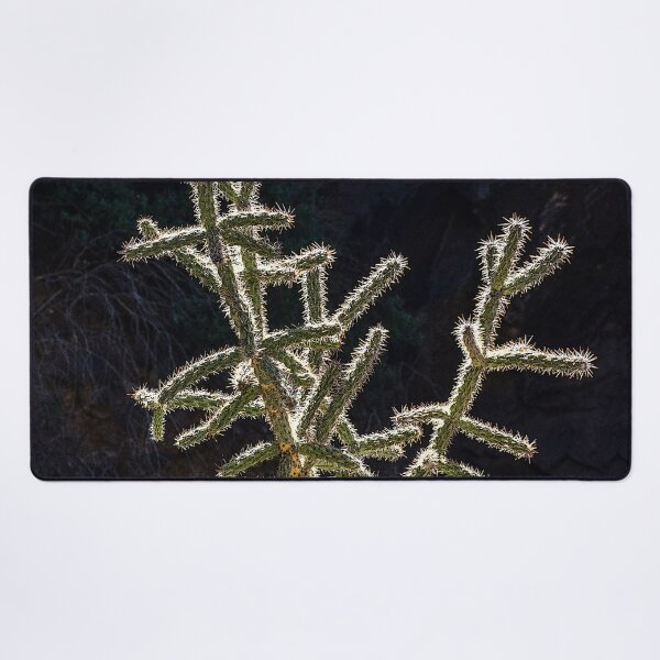 Item preview, Cholla Cactus, Dripping Springs, NM designed and sold by William E Lopez.