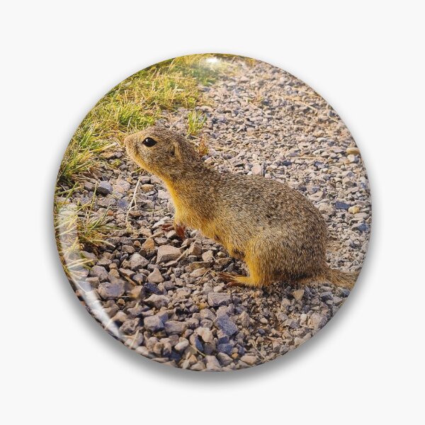 Item preview, Ground Squirrel designed and sold by Kate-P-.