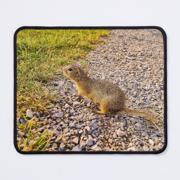 Item preview, Ground Squirrel designed and sold by Kate-P-.