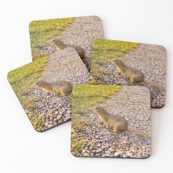 Item preview, Ground Squirrel designed and sold by Kate-P-.