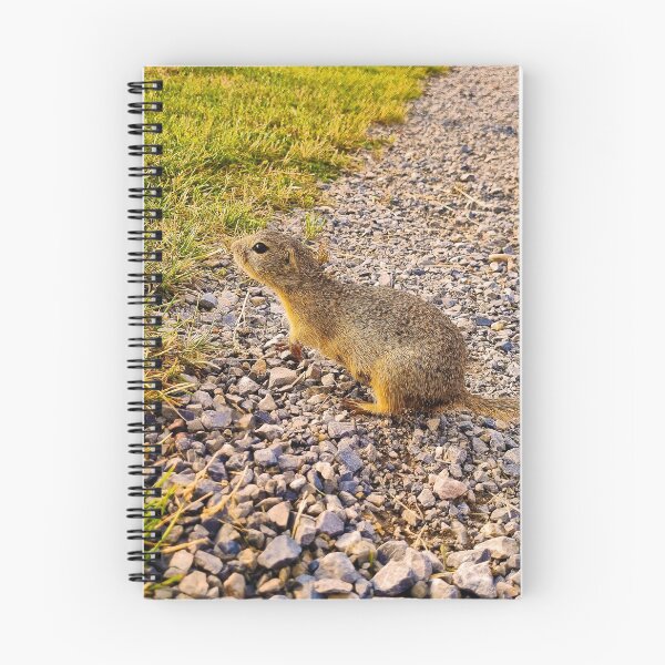 Item preview, Ground Squirrel designed and sold by Kate-P-.