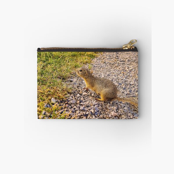 Item preview, Ground Squirrel designed and sold by Kate-P-.