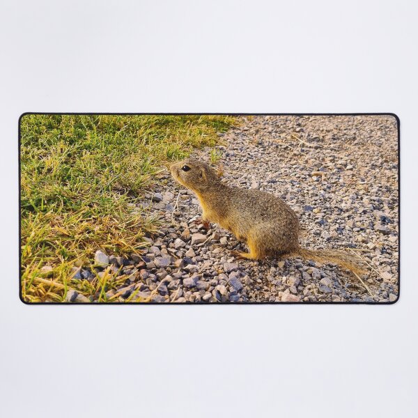 Item preview, Ground Squirrel designed and sold by Kate-P-.