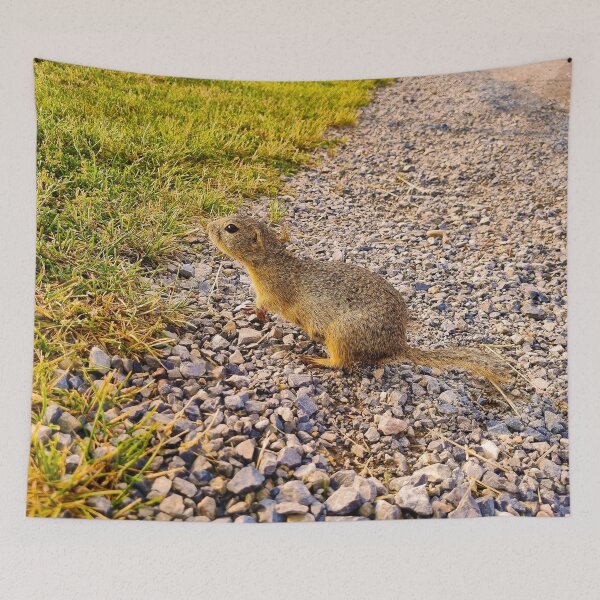 Item preview, Ground Squirrel designed and sold by Kate-P-.