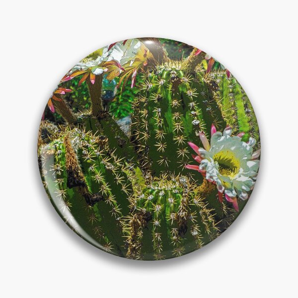 Item preview, Mini Barrel Cactus Blossoms, Las Cruces, NM designed and sold by William E Lopez.