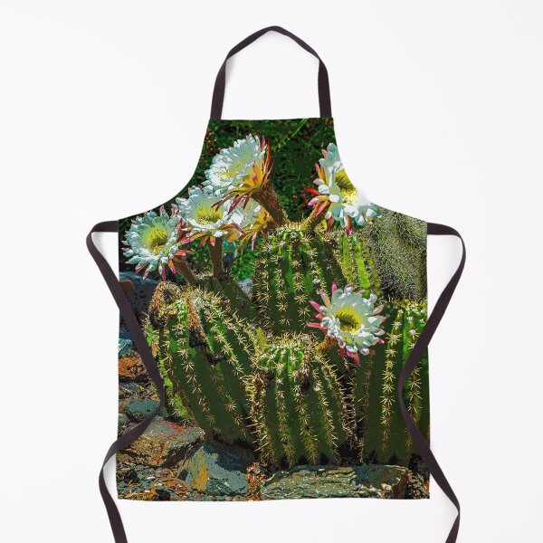 Item preview, Mini Barrel Cactus Blossoms, Las Cruces, NM designed and sold by William E Lopez.