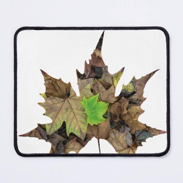 Item preview, Autumn Leaves designed and sold by Ladyshark.