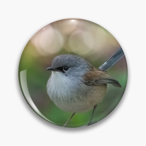 Item preview, Red-winged Fairy-wren designed and sold by Ladyshark.