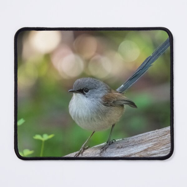 Item preview, Red-winged Fairy-wren designed and sold by Ladyshark.
