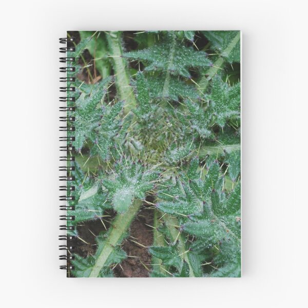 Item preview, Picker bush designed and sold by Ckoma.