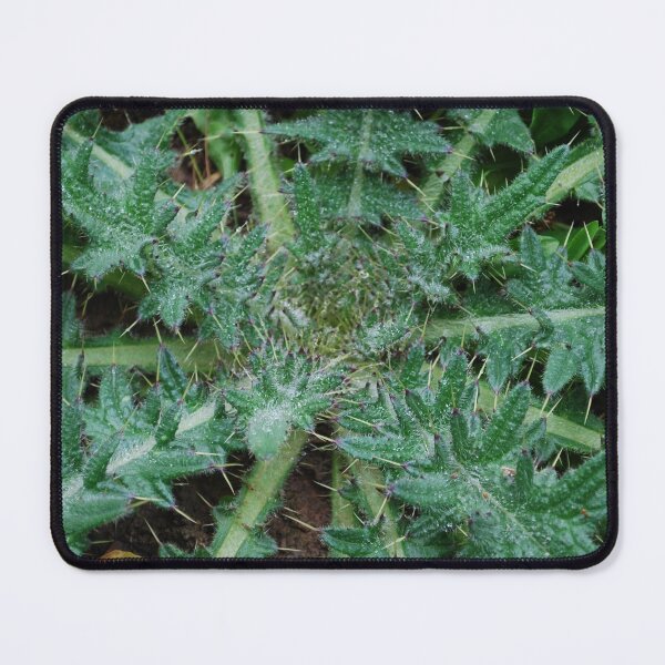Item preview, Picker bush designed and sold by Ckoma.