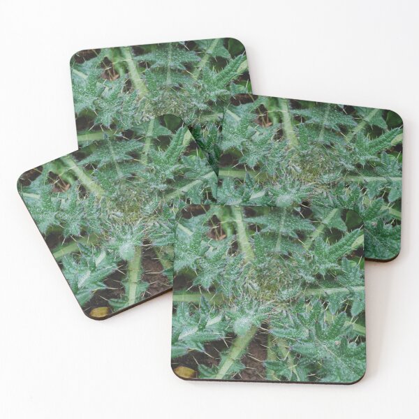 Item preview, Picker bush designed and sold by Ckoma.