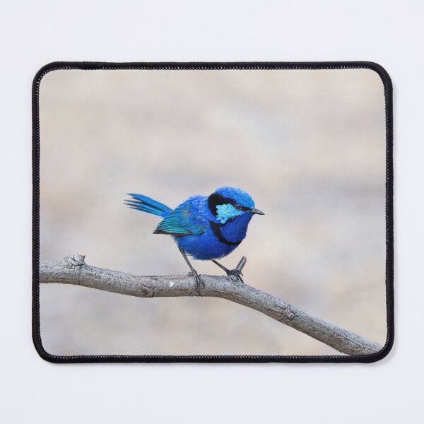 Item preview, The Show-off designed and sold by Ladyshark.