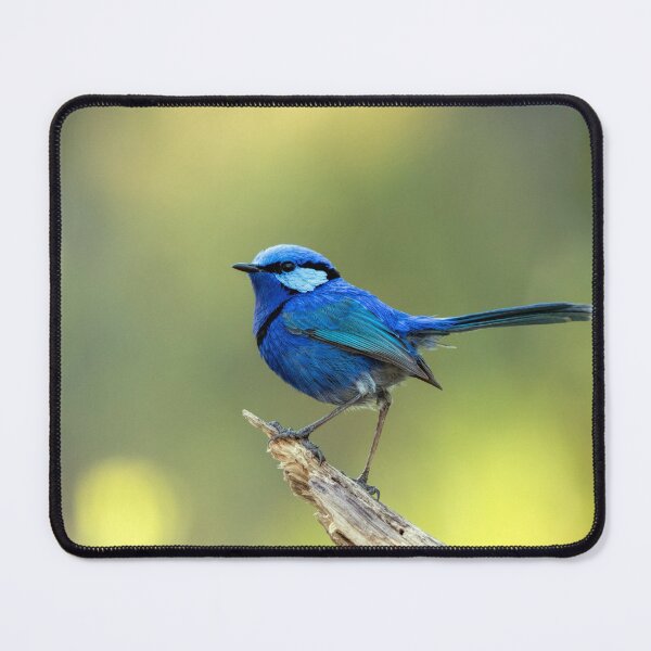Item preview, Little Blue designed and sold by Ladyshark.
