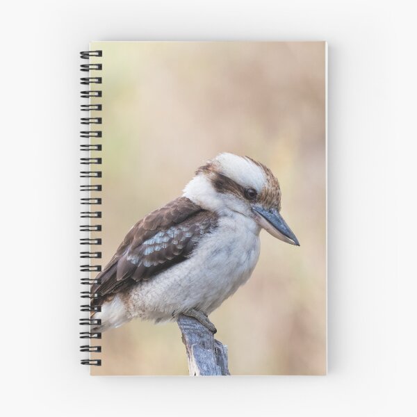 Item preview, Laughing Kookaburra designed and sold by Ladyshark.