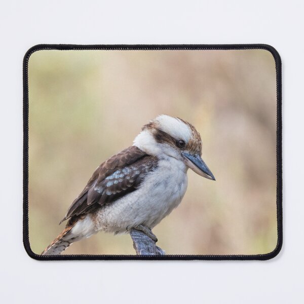 Item preview, Laughing Kookaburra designed and sold by Ladyshark.