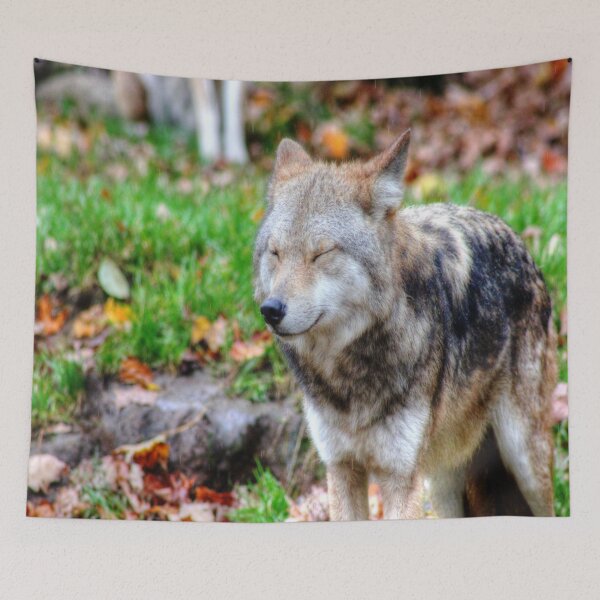 Item preview, Rain, What Rain? designed and sold by Vicki Spindler (VHS Photography).