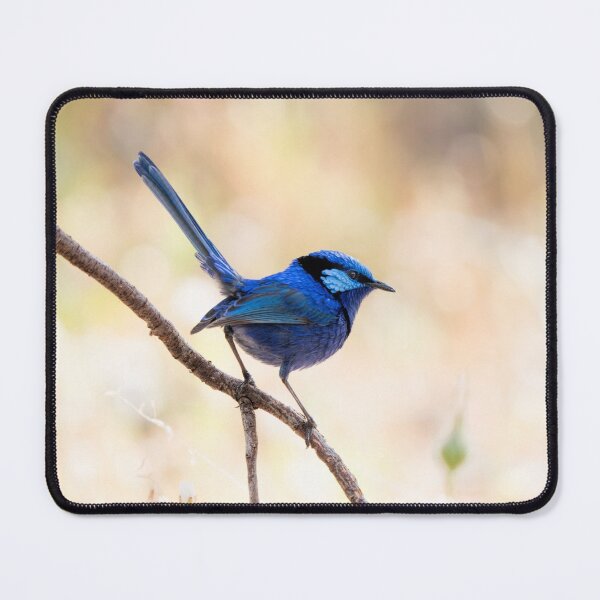 Item preview, Just Splendid designed and sold by Ladyshark.