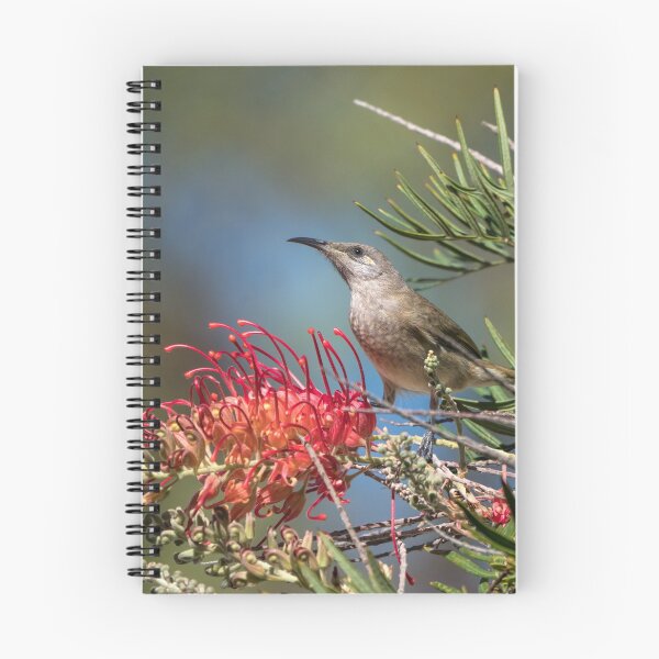 Item preview, Sweet Honeyeater designed and sold by Ladyshark.