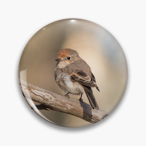 Item preview, Female Red-capped Robin designed and sold by Ladyshark.