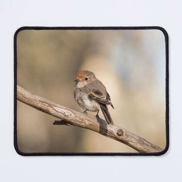 Item preview, Female Red-capped Robin designed and sold by Ladyshark.