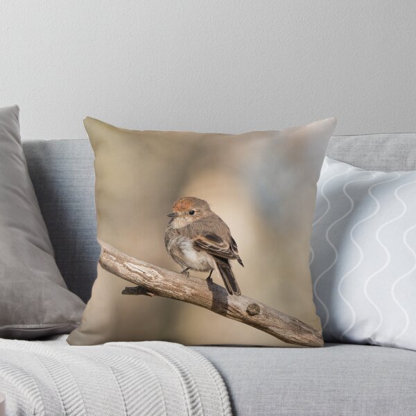 Item preview, Female Red-capped Robin designed and sold by Ladyshark.