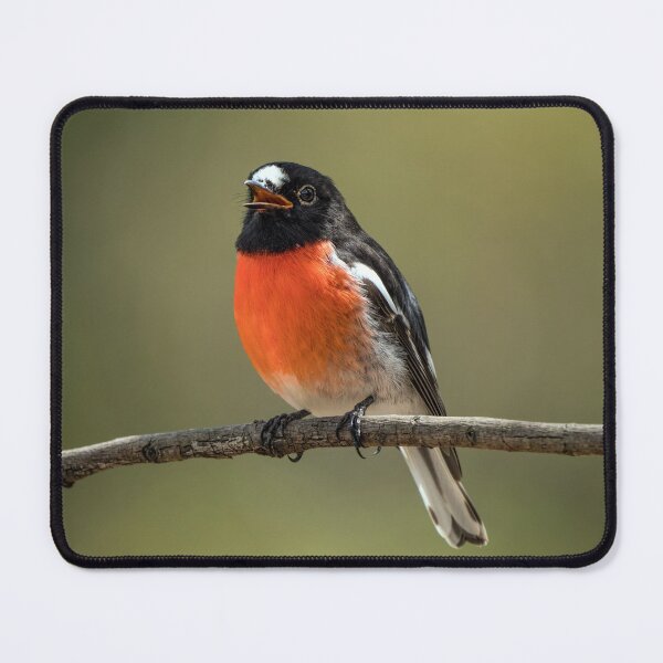 Item preview, Scarlet Robin designed and sold by Ladyshark.