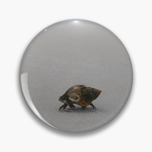 Item preview, Hermit Crab designed and sold by cloudcovered.