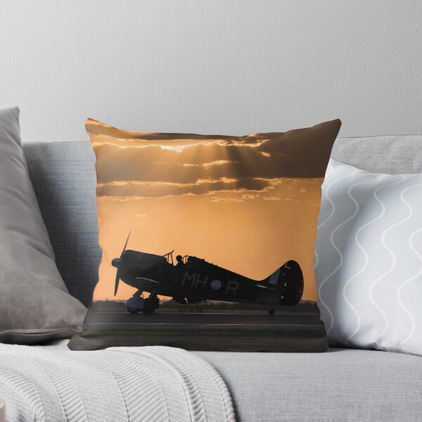 Item preview, Plane Sunset designed and sold by Ladyshark.