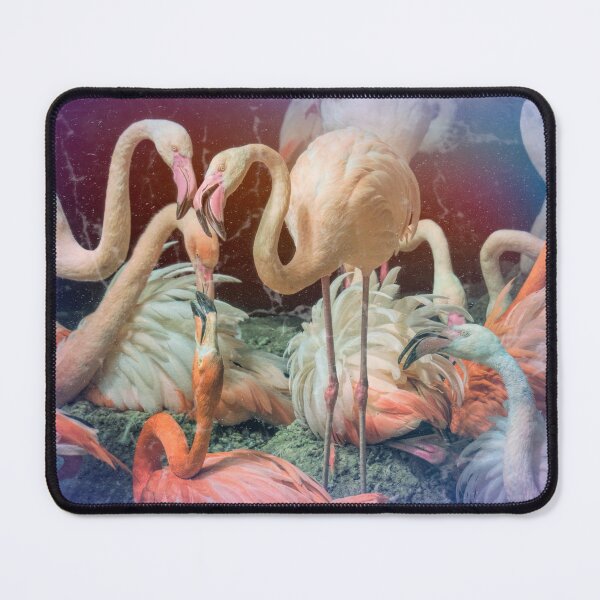 Item preview, Conversations in Flamingo designed and sold by Ladyshark.