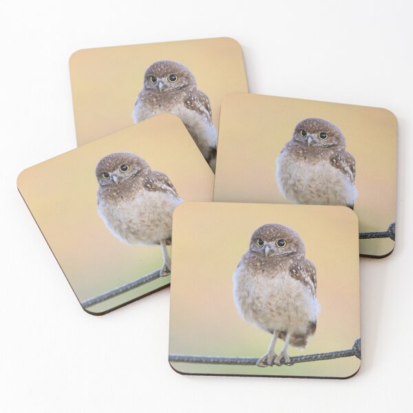 Item preview, Burrowing Owlet designed and sold by mlorenz.