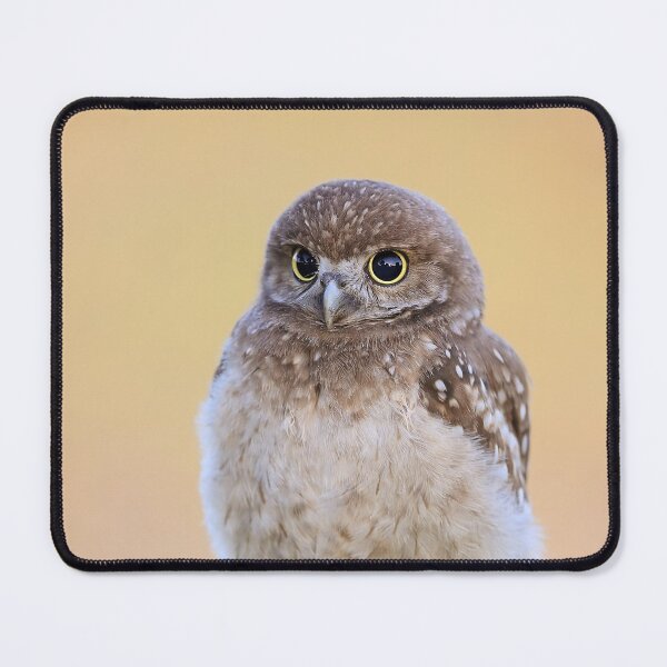Item preview, Burrowing Owlet designed and sold by mlorenz.