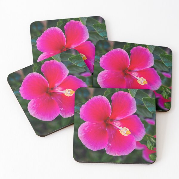 Item preview, Hibiscus Flower designed and sold by Catherine Reading.