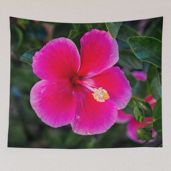Item preview, Hibiscus Flower designed and sold by Catherine Reading.