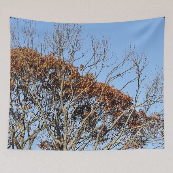 Item preview, Fall is Coming designed and sold by umeimages.