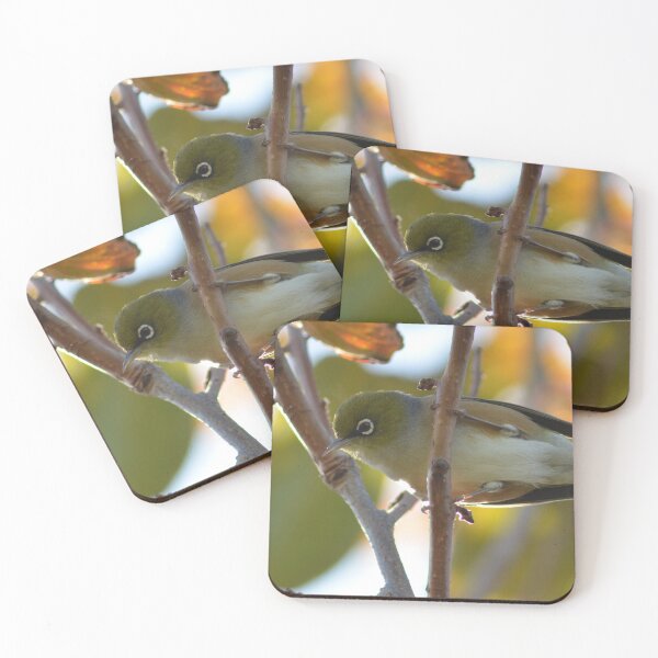 Item preview, Up close with a Silvereye- New Zealand Birds designed and sold by lizdomett.