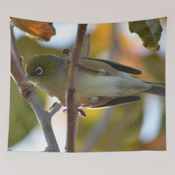Item preview, Up close with a Silvereye- New Zealand Birds designed and sold by lizdomett.