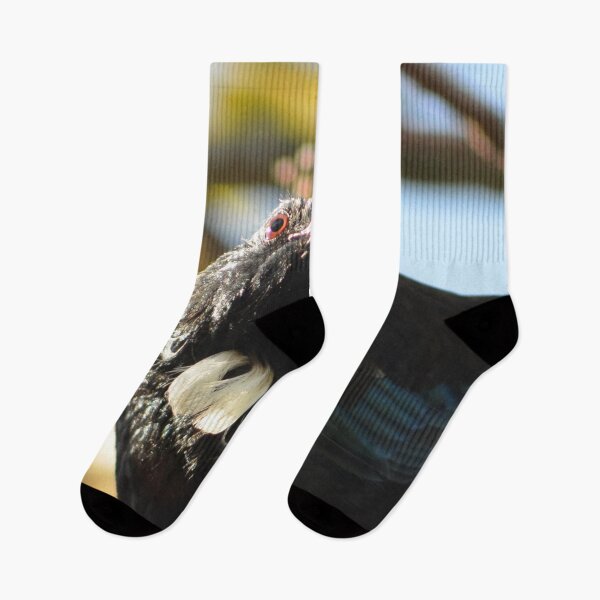 Item preview, Look into my eyes- New Zealand Birds designed and sold by lizdomett.