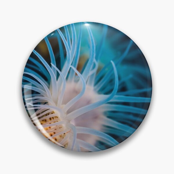 Item preview, Gorgonian Wrapper (Nemanthus sp.)  designed and sold by tank200bar.