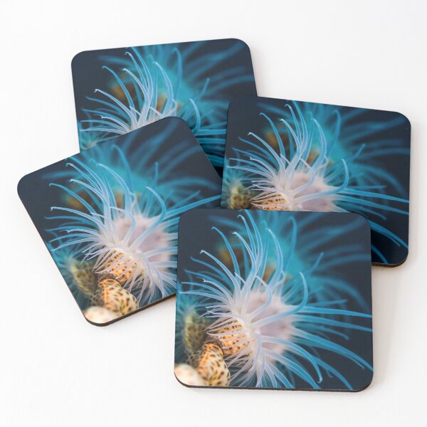 Item preview, Gorgonian Wrapper (Nemanthus sp.)  designed and sold by tank200bar.