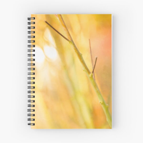 Item preview, Setting Season designed and sold by Marilyn Cornwell.