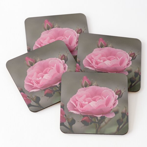 Item preview, PInk Rose And Rosebuds designed and sold by Catherine Reading.