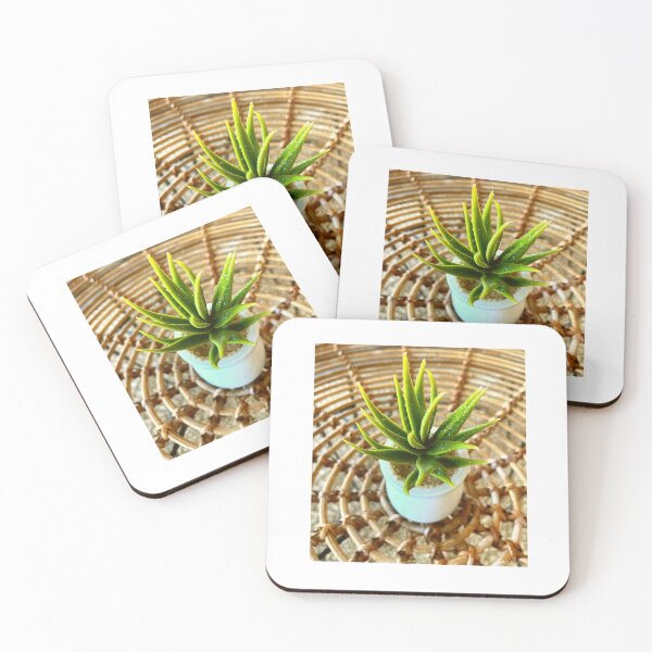 Item preview, SUCCULENT PLANT designed and sold by iAmmAja43.