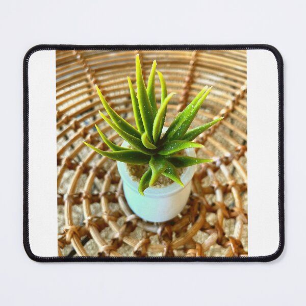 Item preview, SUCCULENT PLANT designed and sold by iAmmAja43.