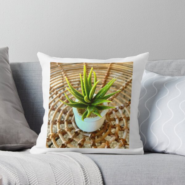 Item preview, SUCCULENT PLANT designed and sold by iAmmAja43.