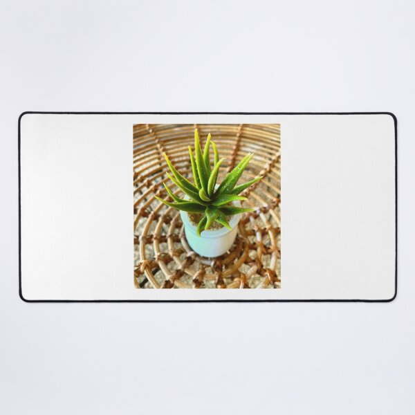 Item preview, SUCCULENT PLANT designed and sold by iAmmAja43.